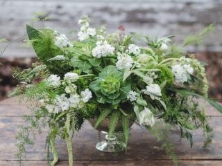 Kale, Amaranthus, Veronica, Stock, Plumosa, Aspidistra, Australian Fern, Tulips in White and Green